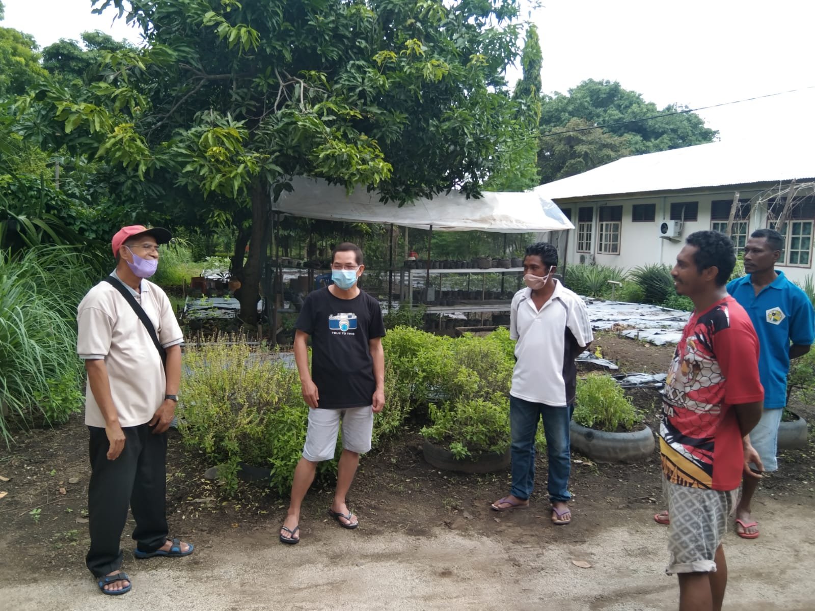 Ketika Misionaris SVD Benuming Brasil Adopsi Pertanian Irigasi Tetes Ala Israel di Candraditya Maumere