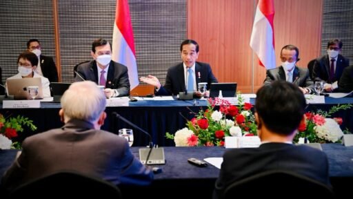 Temui CEO Korea Selatan, Jokowi: Kalau Ada Kendala Sampaikan ke Saya