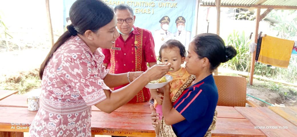 Monitoring Kegiatan Pencegahan Stunting Desa Liang Sola